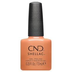 Shellac Daydreaming 0.25oz
